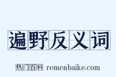 遍野反义词是什么意思的图片